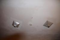 Meine Zimmerdecke im Los Caneyes - zu beachten ist der lebende Mückenfänger 