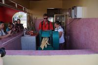 Hier wird Zuckerrohrsaft gespresst