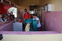 Hier wird Zuckerrohr ausgepresst