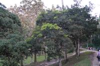 Altes und frisches Grün