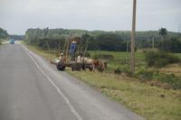 Wir queren einfach mal mit dem Ochsenkarren die Autobahn