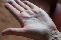 Tabaksamen sind winzig