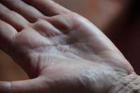 Tabaksamen sind winzig