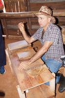 Der Strunk wird entfernt