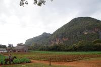 Valle de Viñales