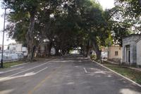 Allee auf dem Friedhof von La Habana