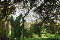 Parque Metropolitano de La Habana