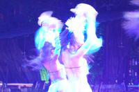 Die Tänzerinnen haben keinen Gramm Fett (zuviel) am Leib