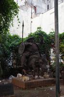 Sancho Panza in Kuba