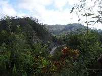 Die Bergstraße Farola
