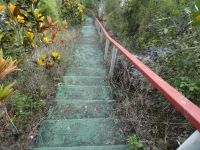 Viele Treppen führen zum Aussichtspunkt der Farola