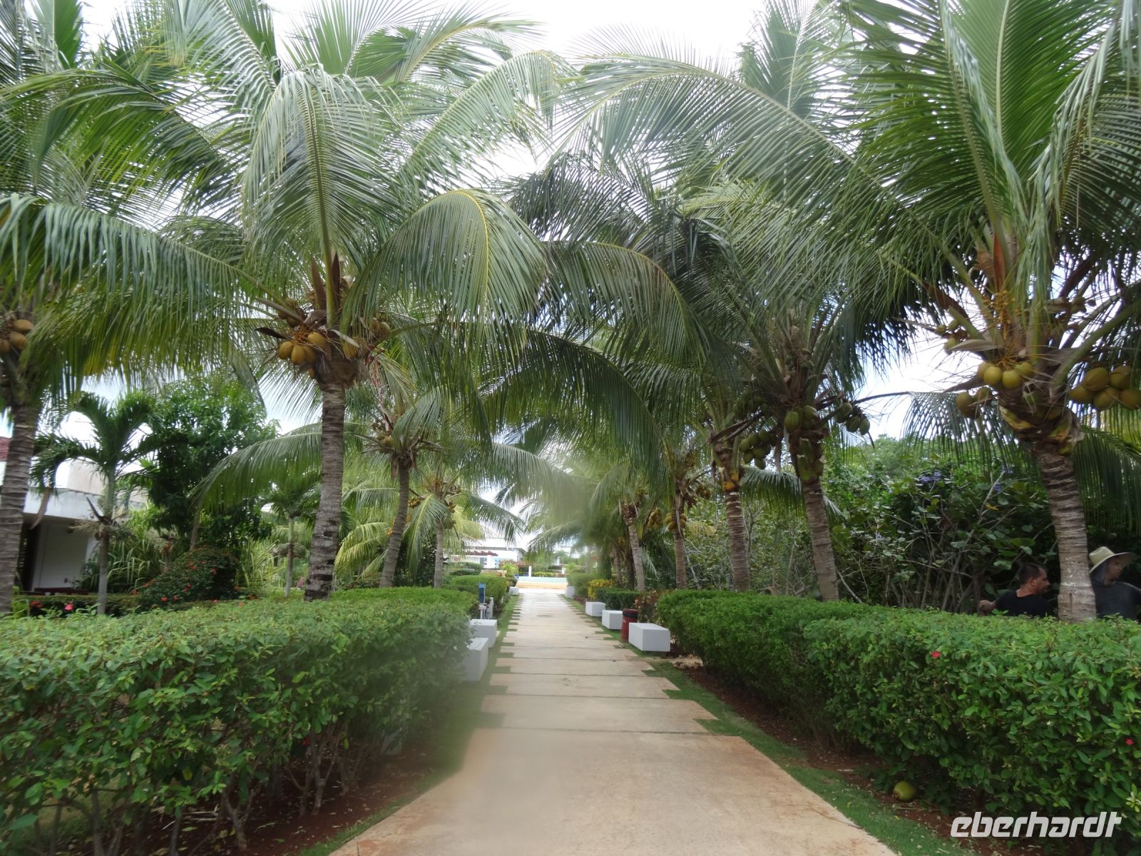 Außenanlagen des Hotels Dhawa