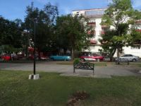 Die Oldtimer sind zur Ausfahrt bereit