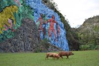 Bemalte Felswand in Vinales
