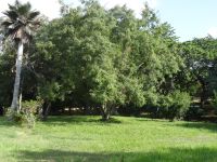 Im Botanischen Garten Cienfuegos