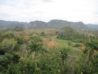 Die Mogotes in Vinales