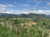 Tabakanbaugebiet in Vinales