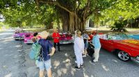 Oldtimer Rundfahrt durch Havanna