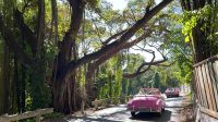 Oldtimer Rundfahrt durch Havanna