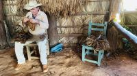 Vinales Tal - zu Besuch beim Tabackbauer Benito