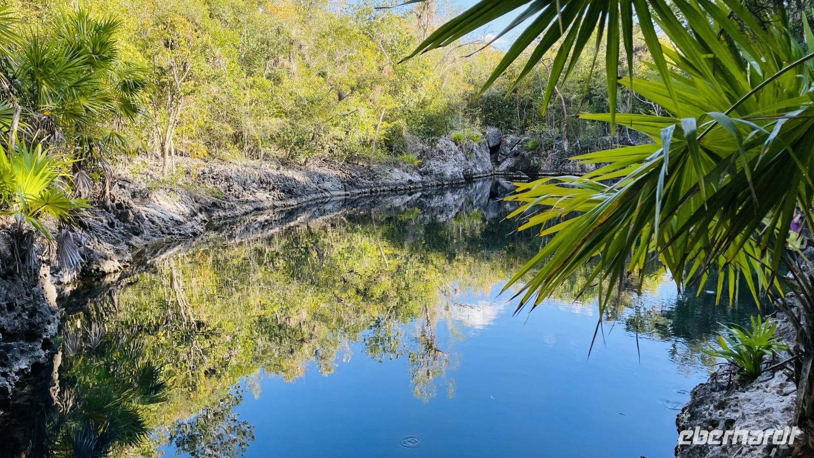 Entlang der Schweinebucht, Halt an Chitonen (Wasserlöschern)