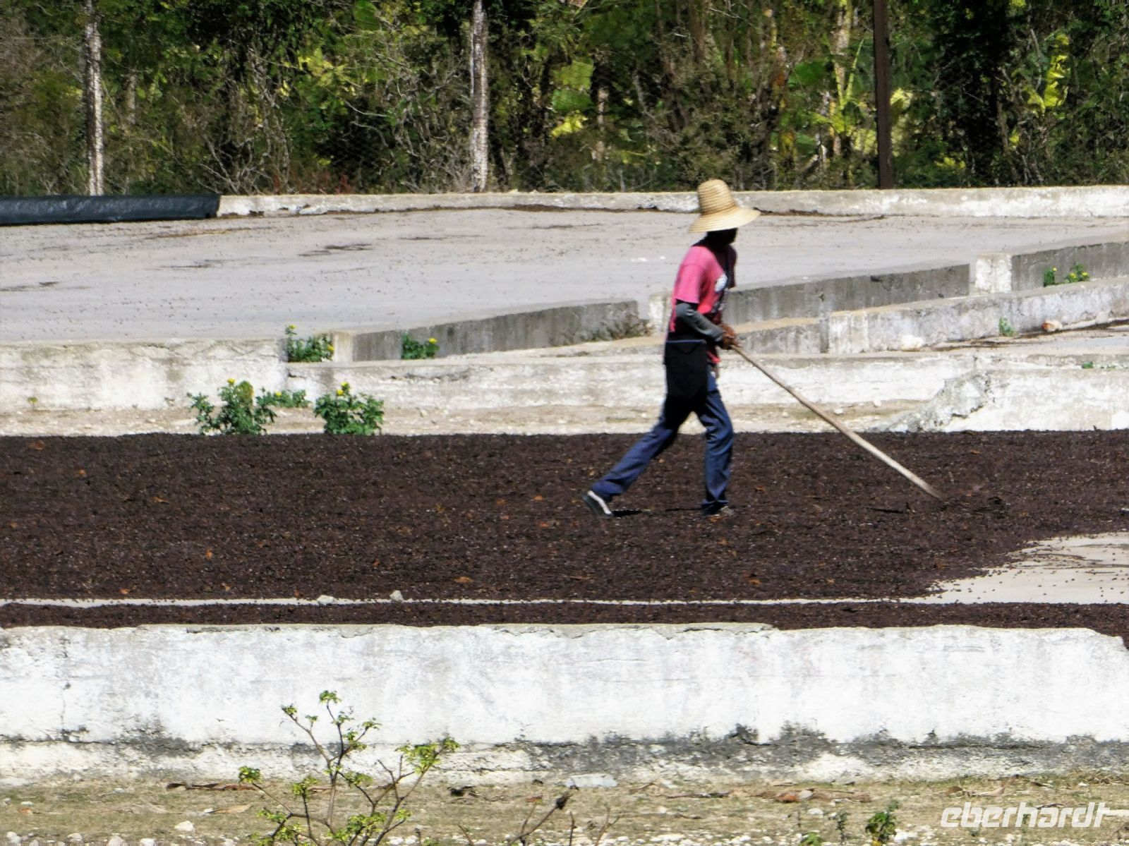 er wendet die Kaffeebohnen
