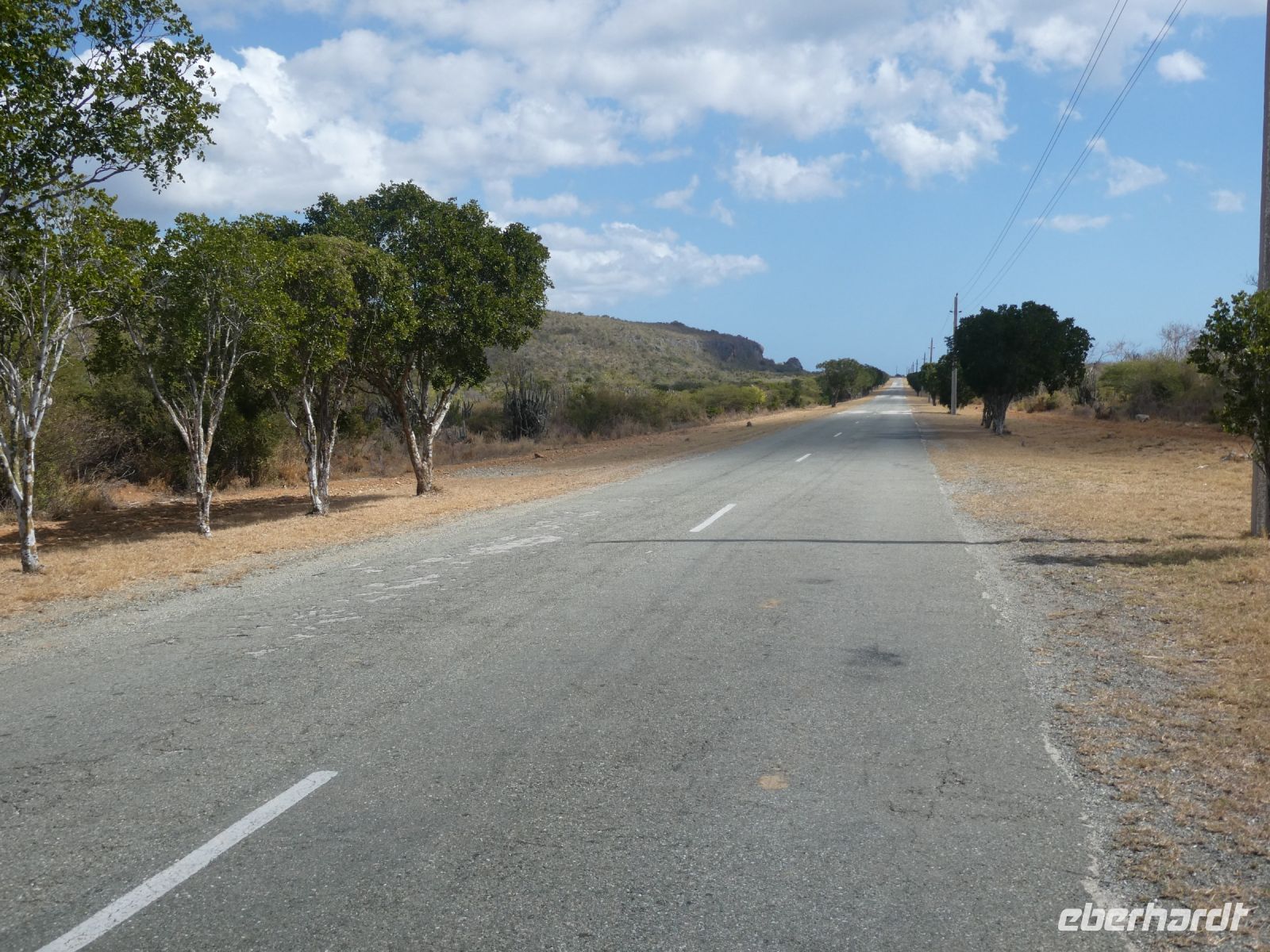 langsam wird es grüner