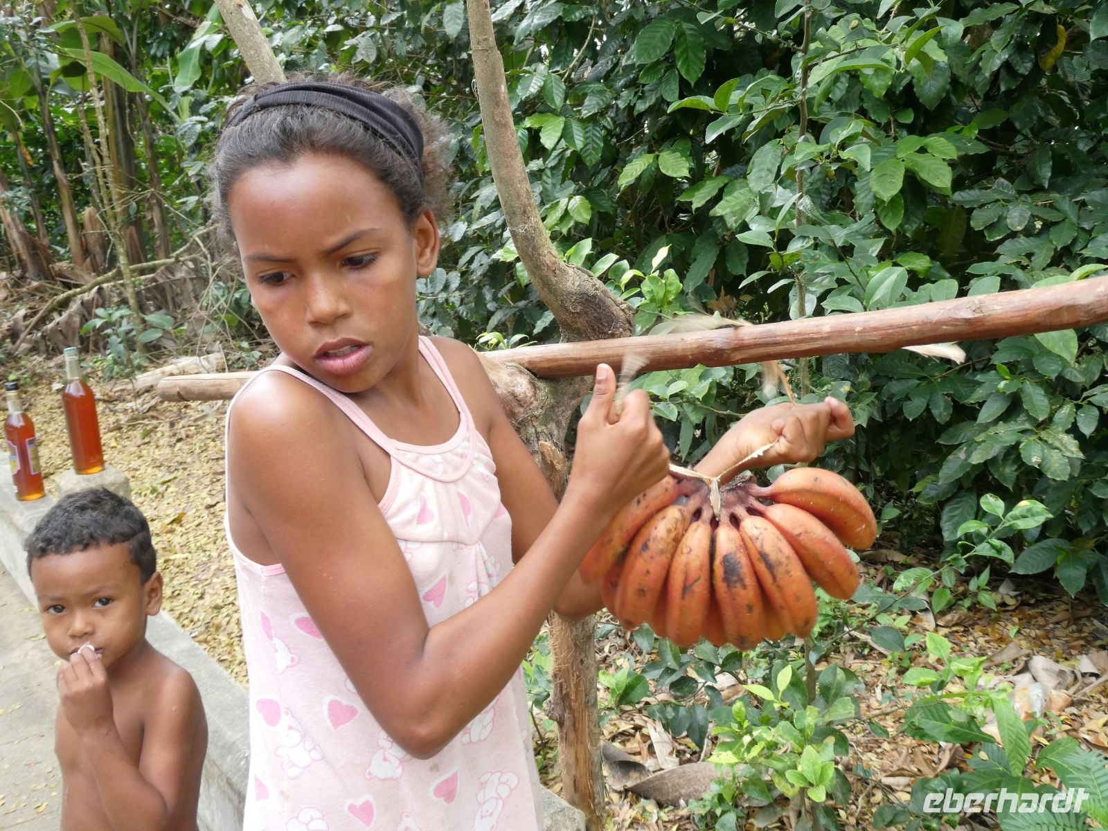 wir kaufen rote Bananen