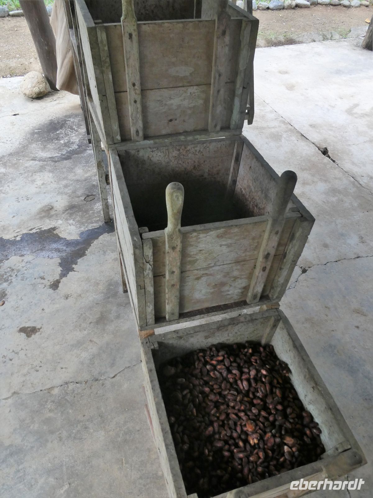 Fermentation von Kakaobohnen