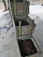 Fermentation von Kakaobohnen