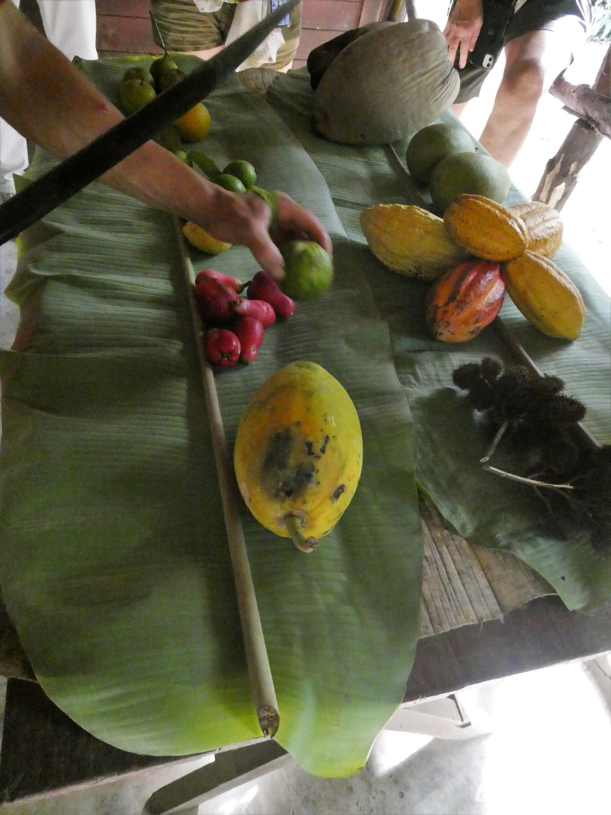 die Früchte der Plantage