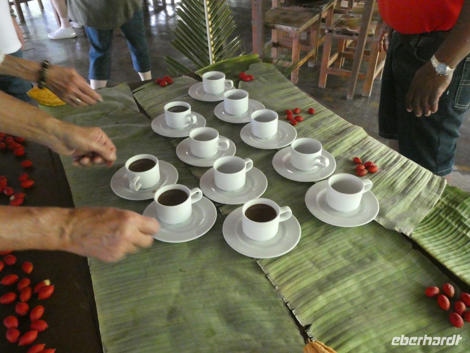 Kakao mit Kokosmilch