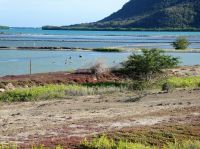 Halt an der Salzgewinnungsanlage