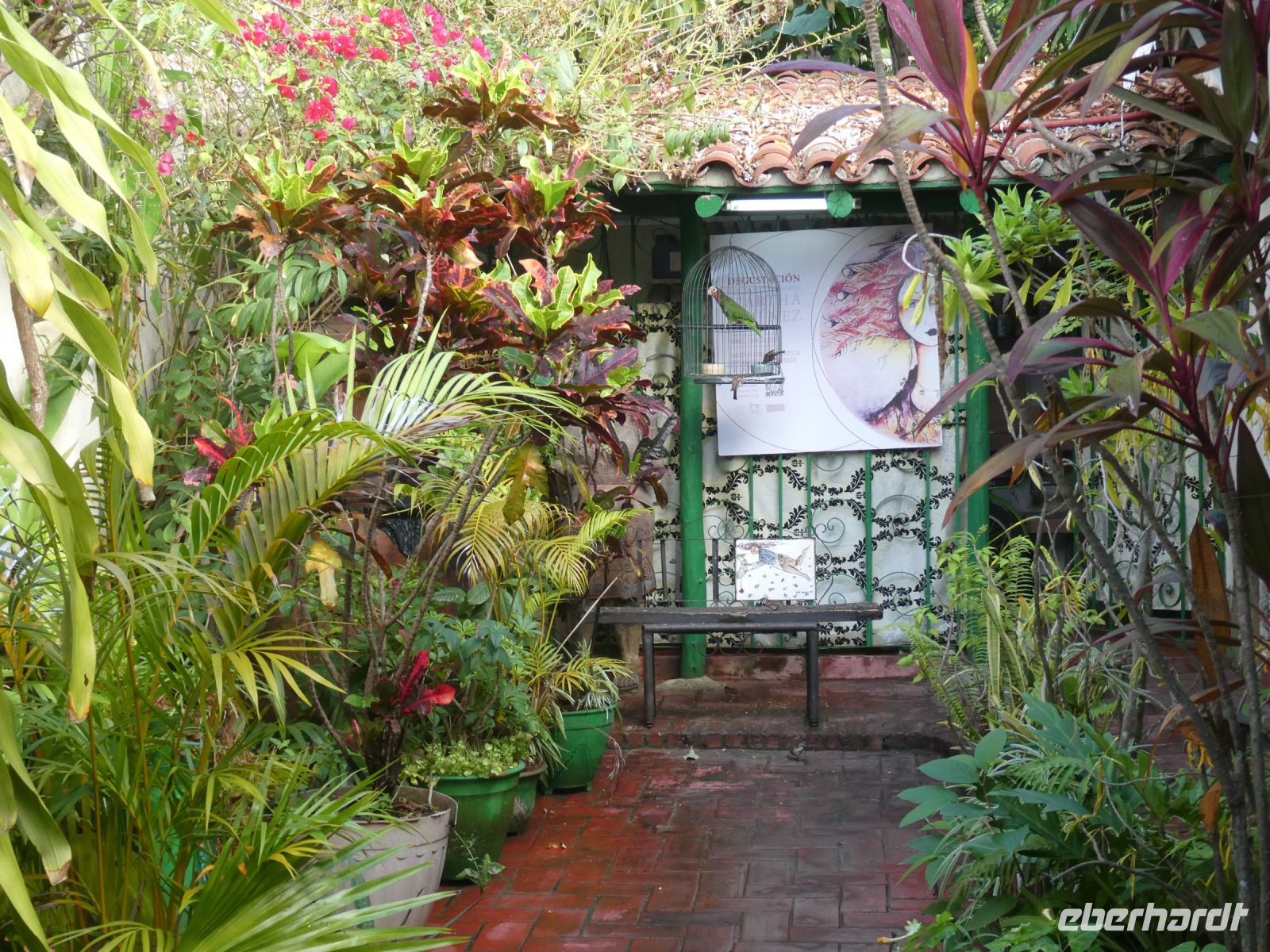 im Garten von Martha Jiménez