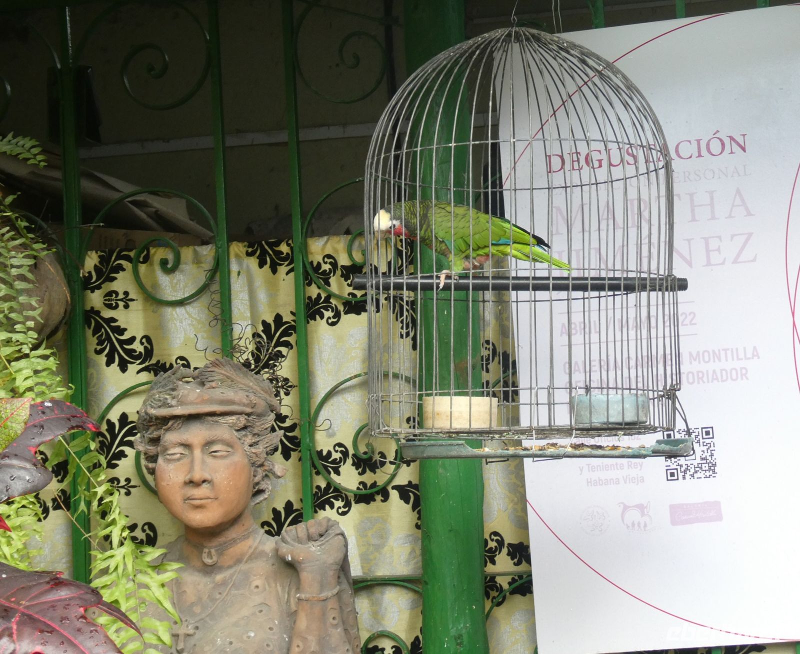 er gehört auch dazu