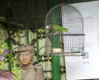 er gehört auch dazu