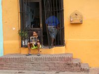 Vögel für den Gesangswettbewerb