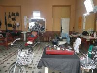 Haarschnitt gefällig