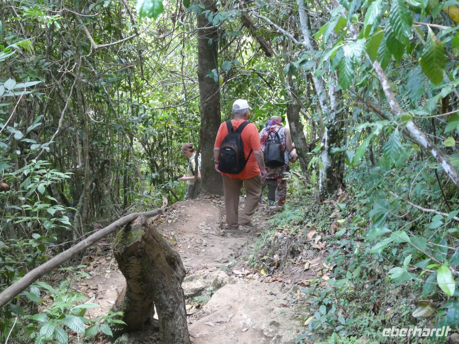 die Wanderung beginnt