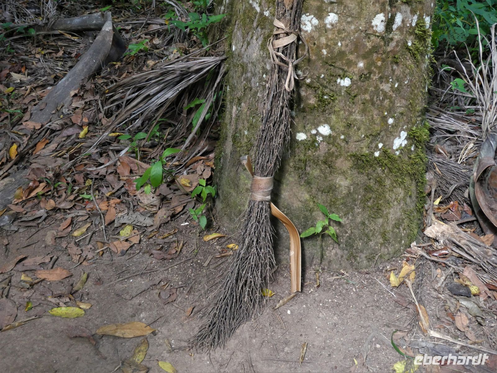 Schwiegermutterbesen