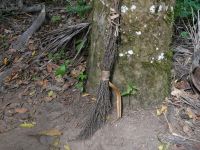 Schwiegermutterbesen