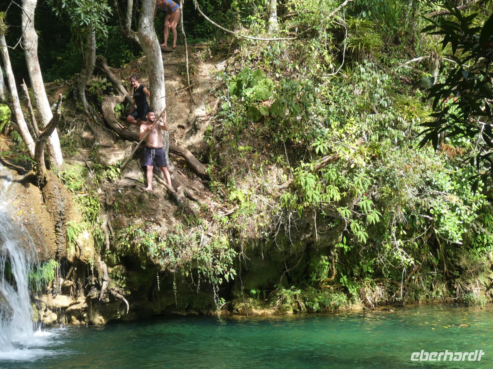 ein Schwimmbad im Wald