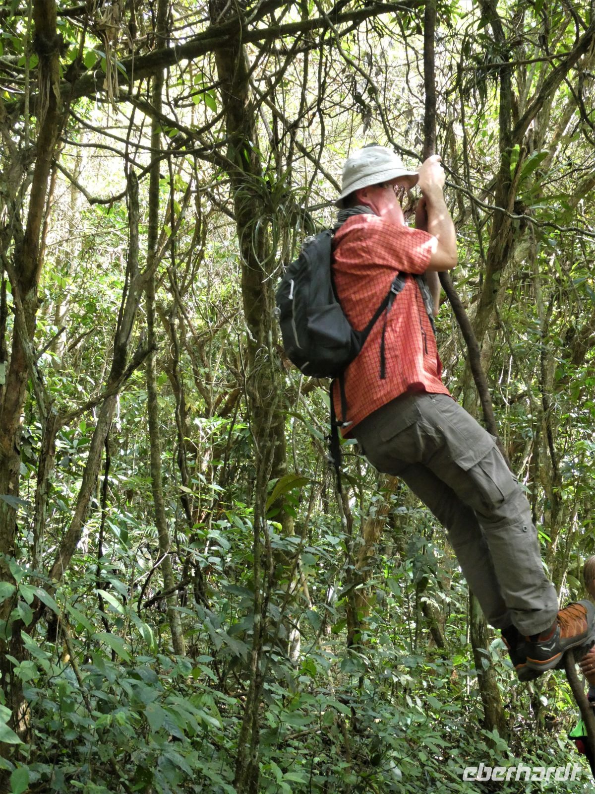 Tarzan gibt eine Einlage