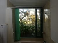 Blick aus dem Fenster