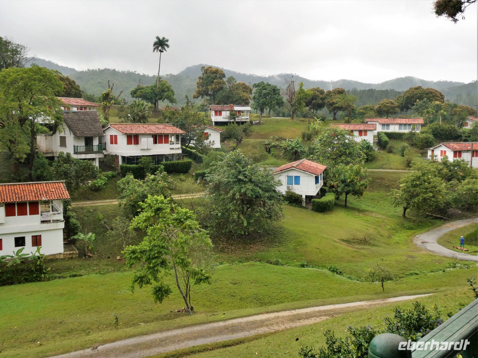 das Grün wird gewaschen