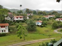 das Grün wird gewaschen