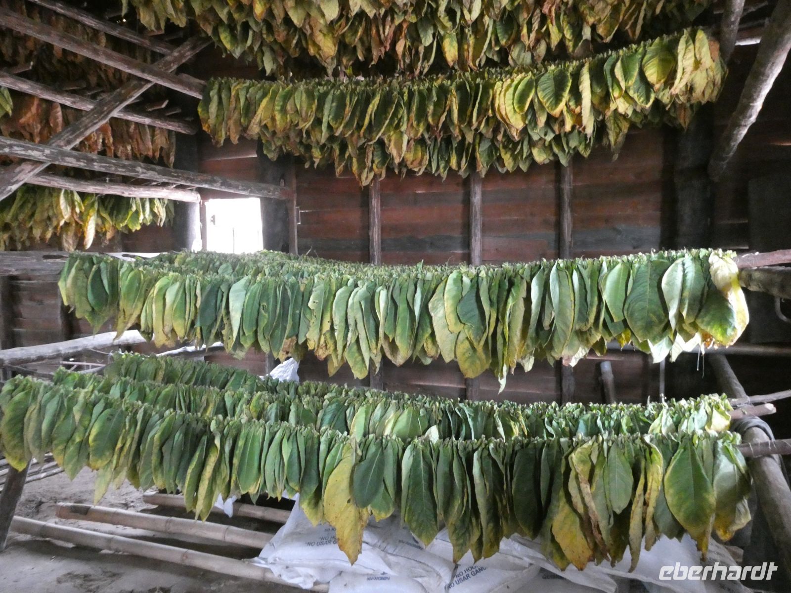 in der Trockenscheune