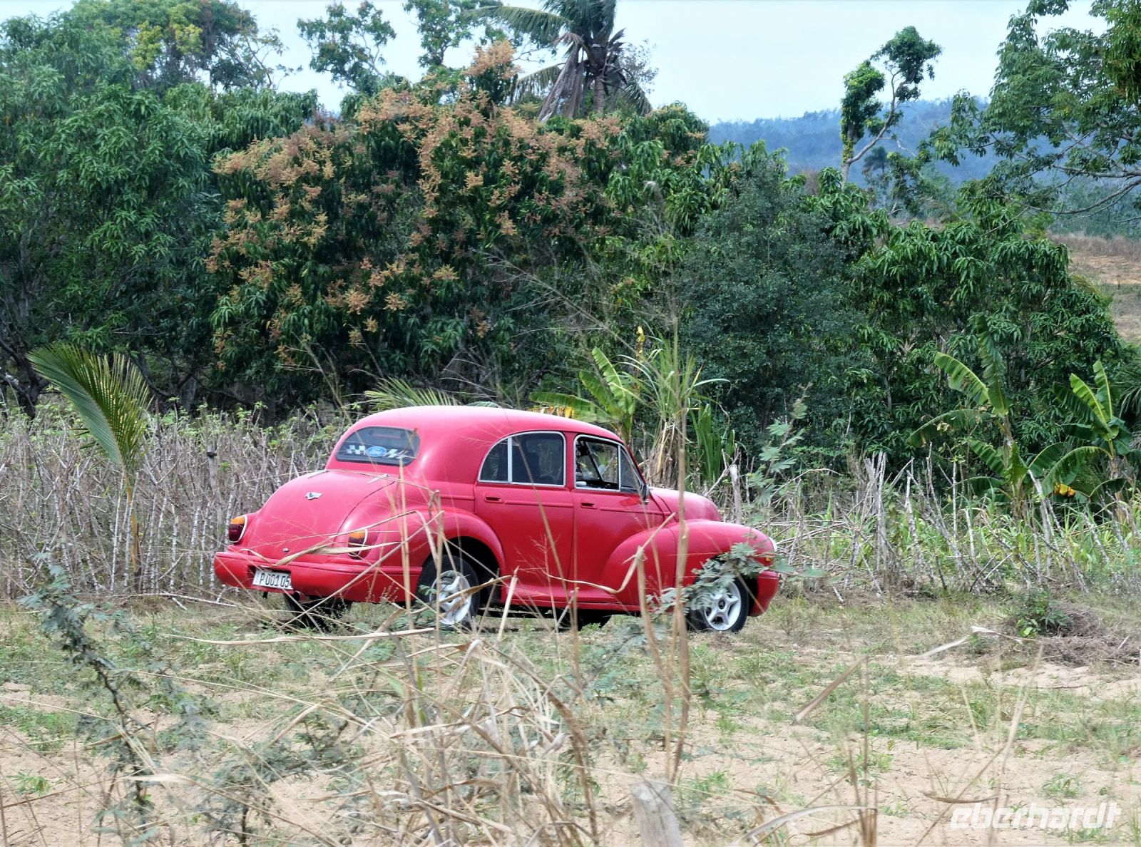 selbst hier Oldtimer