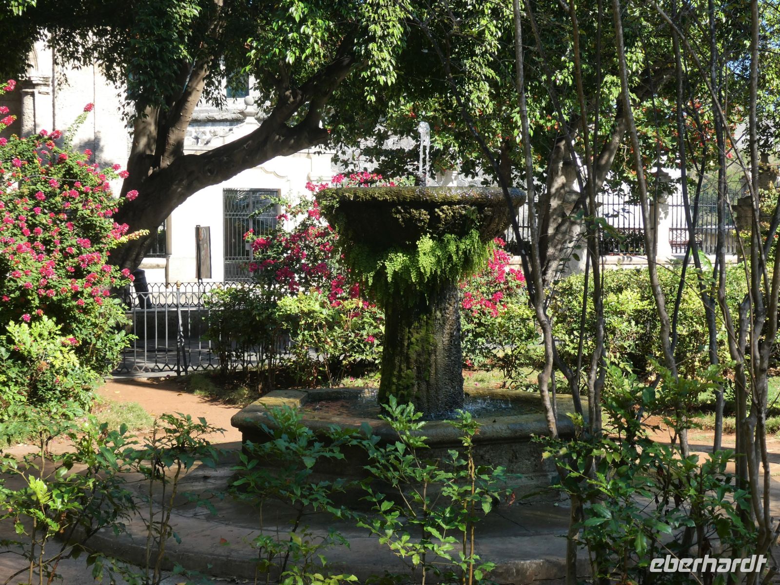 viel Grün in der Stadt