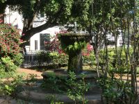 viel Grün in der Stadt